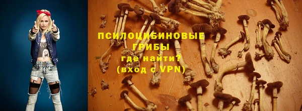 spice Верхний Тагил