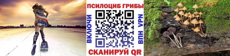 Купить где  Карабаново  Галлюциногенные грибы ЛСД 