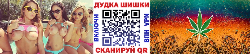 Купить где  Карабаново  Марихуана ГИДРОПОН 